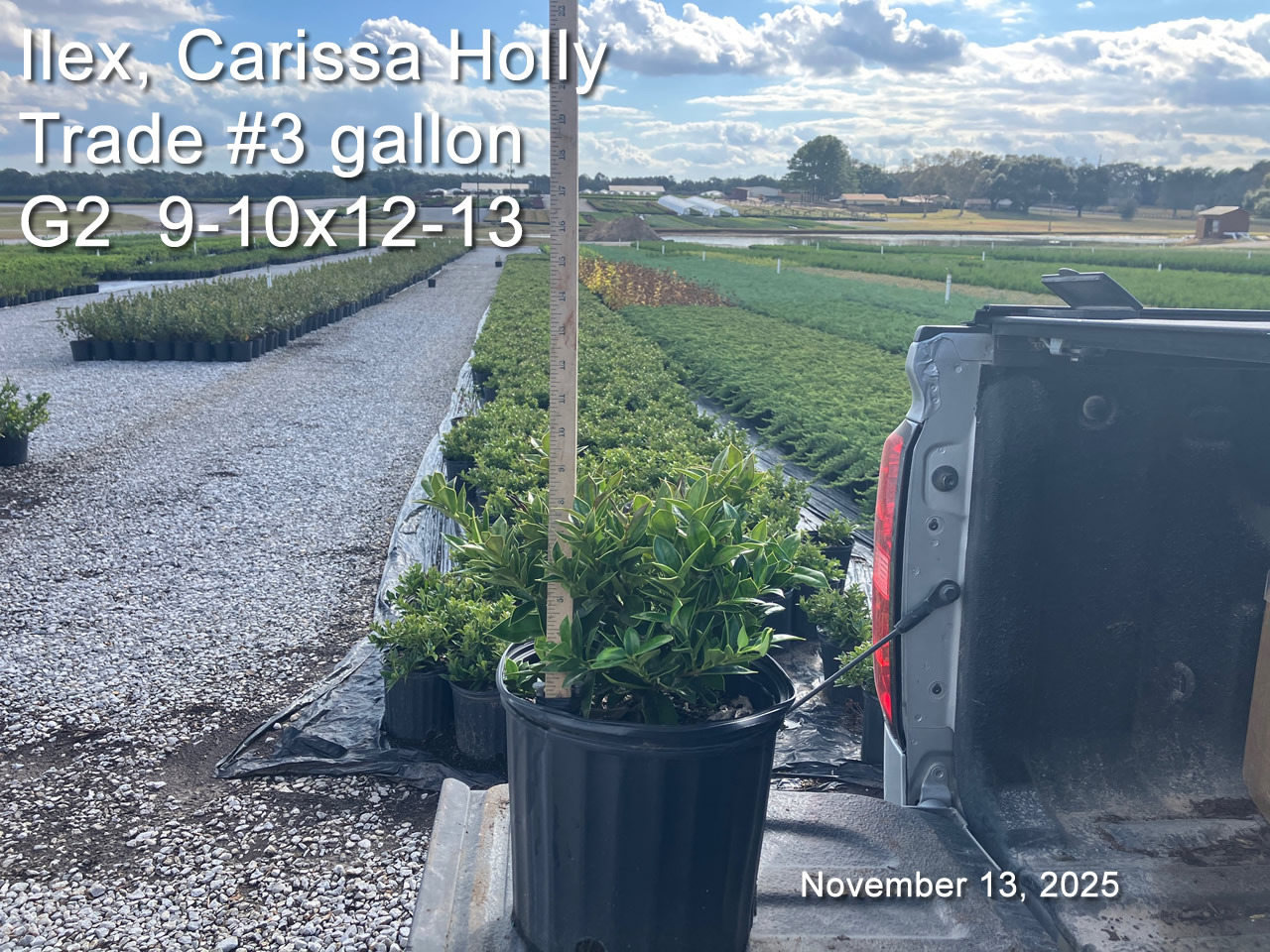 gallery/car3t g2 nov13.jpg